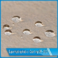 Water based building hydrophobic coating PF-212 