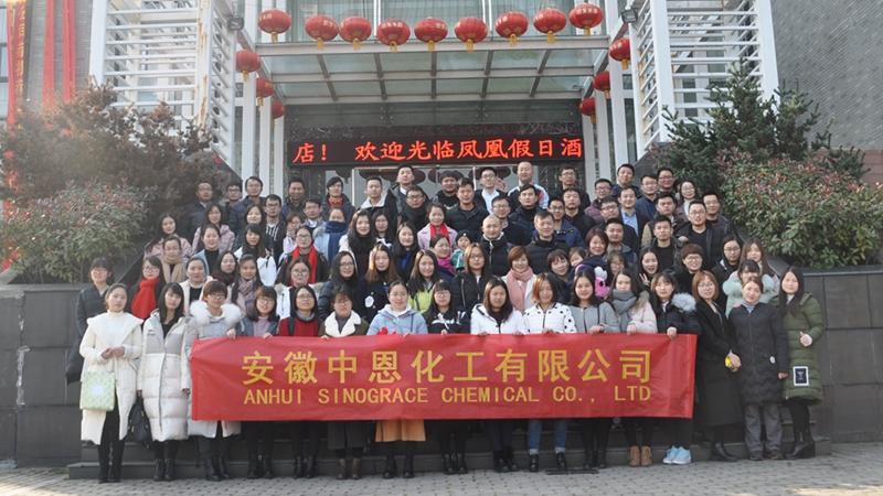 Spring Festival evening party