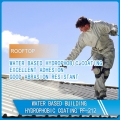 Water based building hydrophobic coating PF-212 