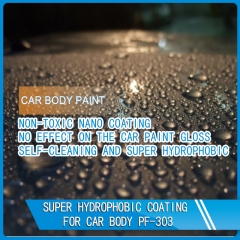 Super hydrophobic ceramic car body paint coating