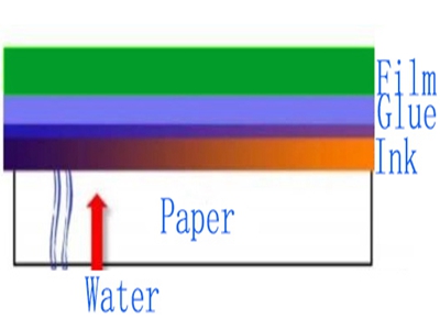 Properties and Applications of Paper-plastic composite adhesives (8)