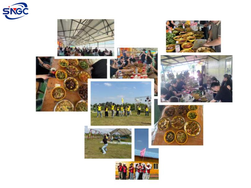 Strengthening Team Spirit — Sinograce Chemical Holds Its 2026 Team-Building Event